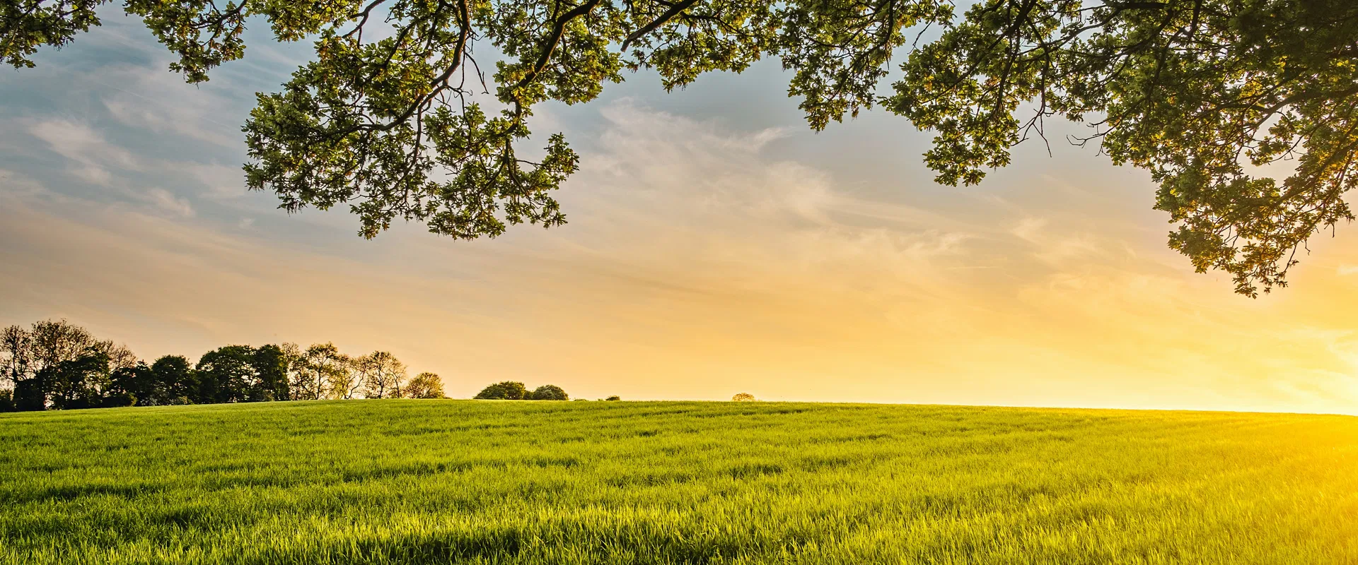 История клиента: Acme Corp