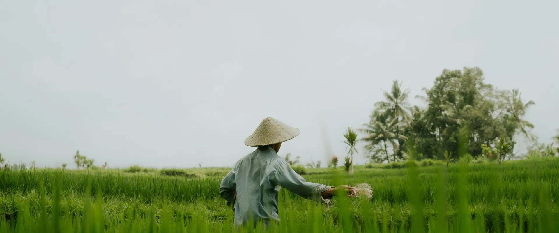 С праздниками от нашей команды