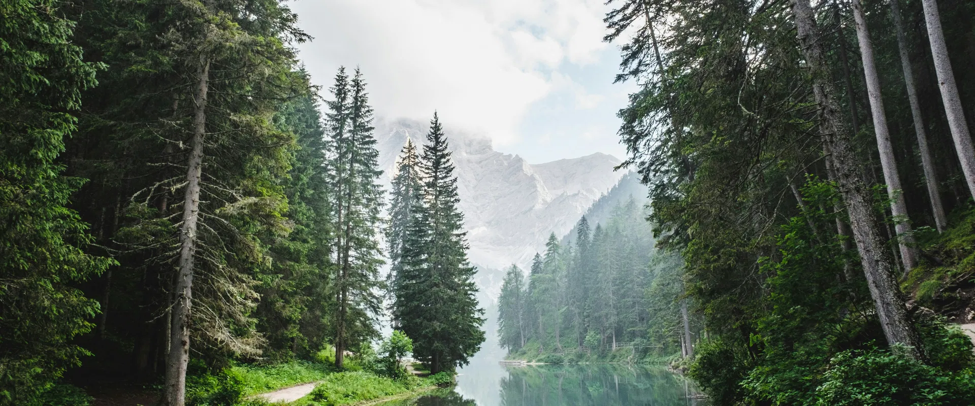 Объявление о новом партнерстве