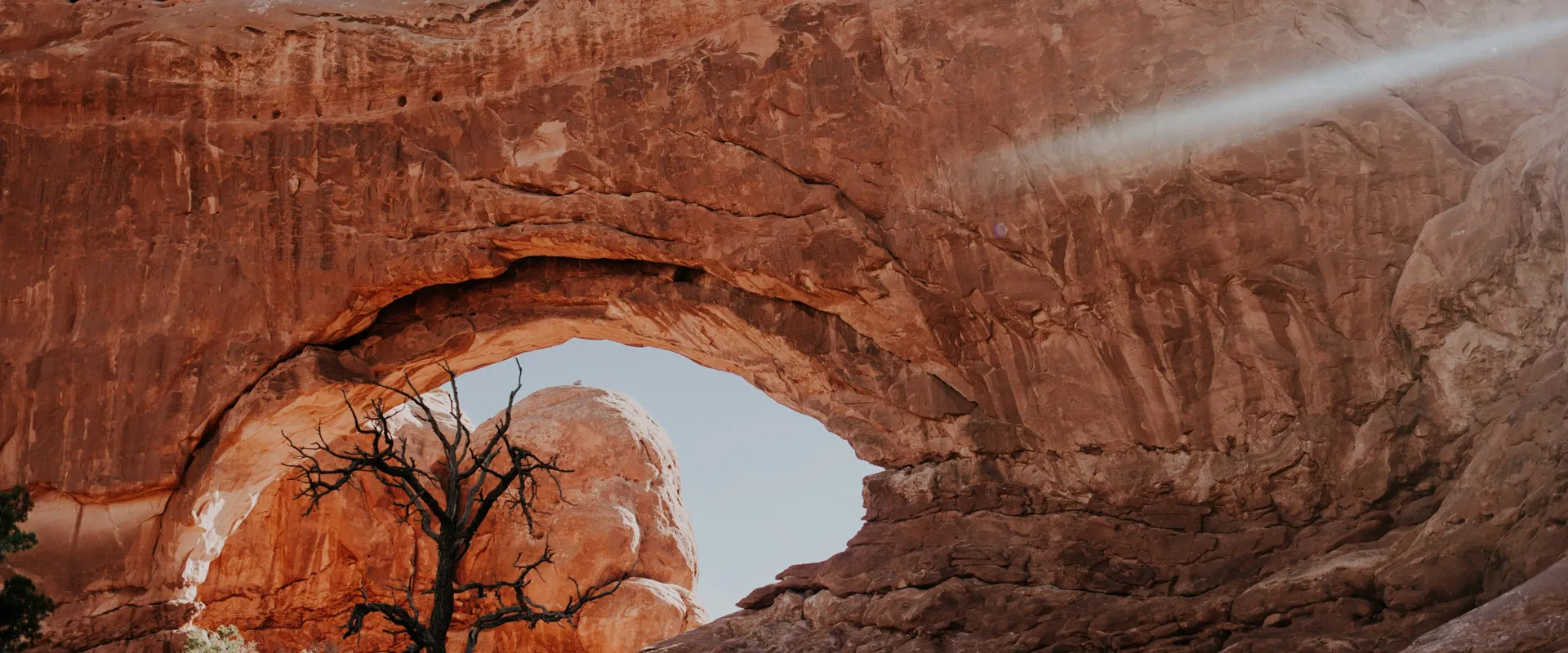 Ближайший вебинар: REST API