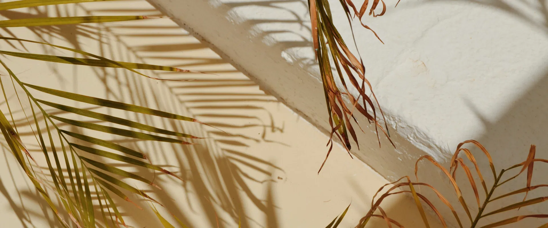 Летняя распродажа: скидки до 50%