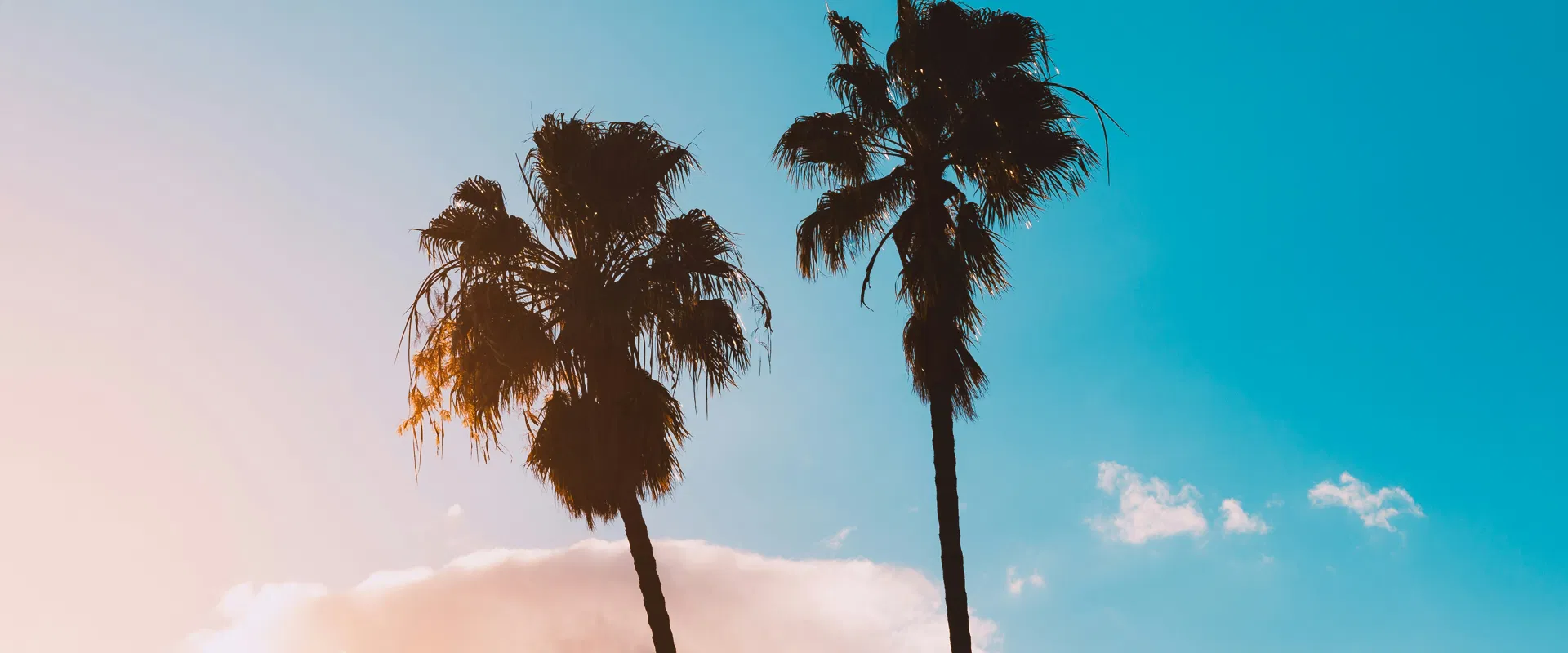 Подпишитесь на нашу рассылку