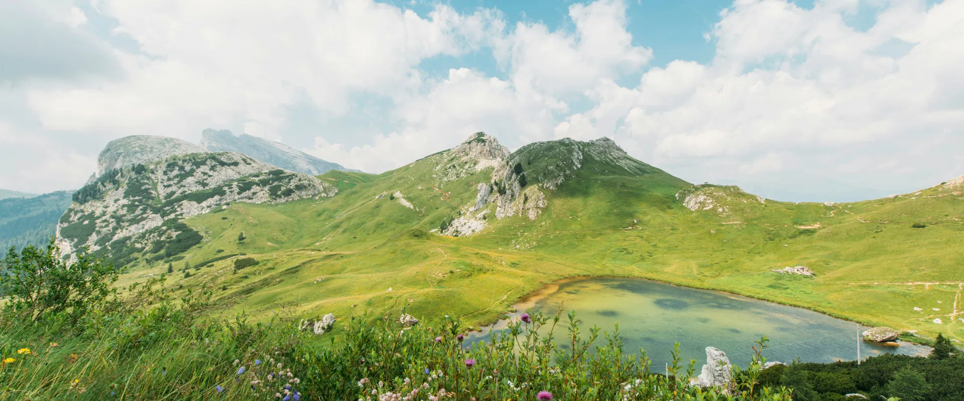 Релиз продукта: аналитический пакет