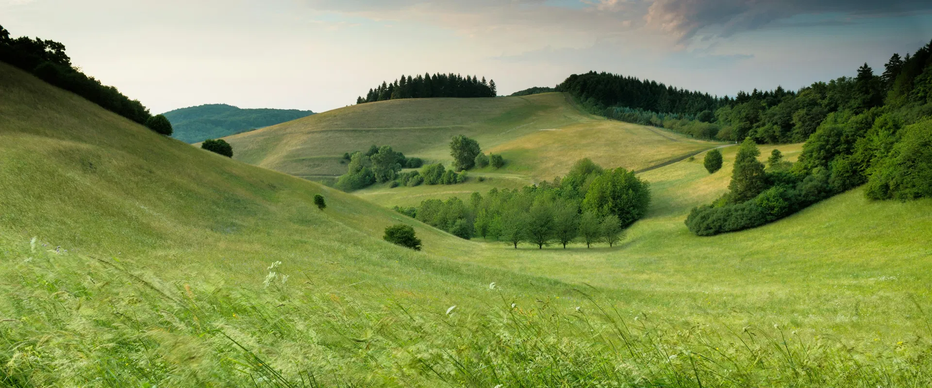 Уведомление о плановом обслуживании