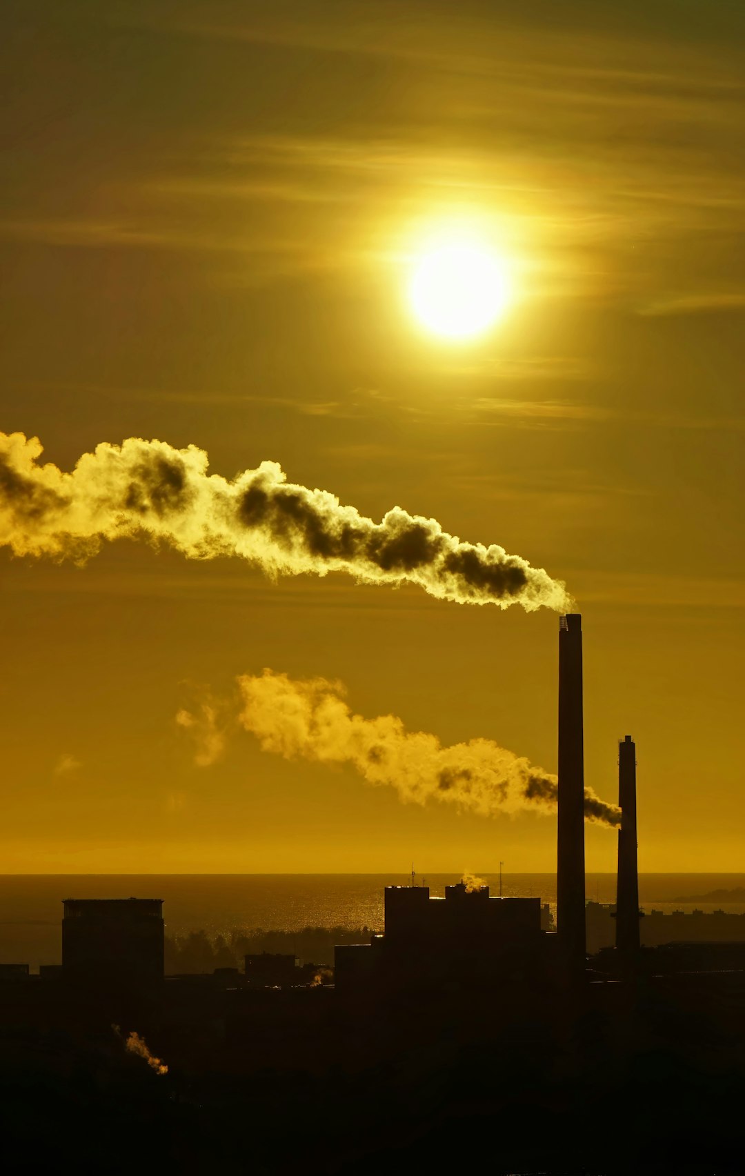 Глобальное потепление: факты, культура, последствия