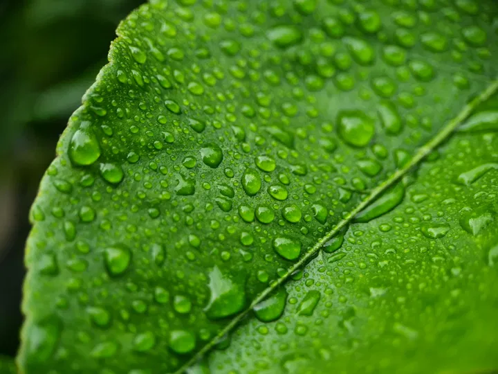 Потенциал геотермальной энергии