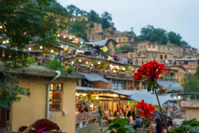 Телеприсутствие роботов