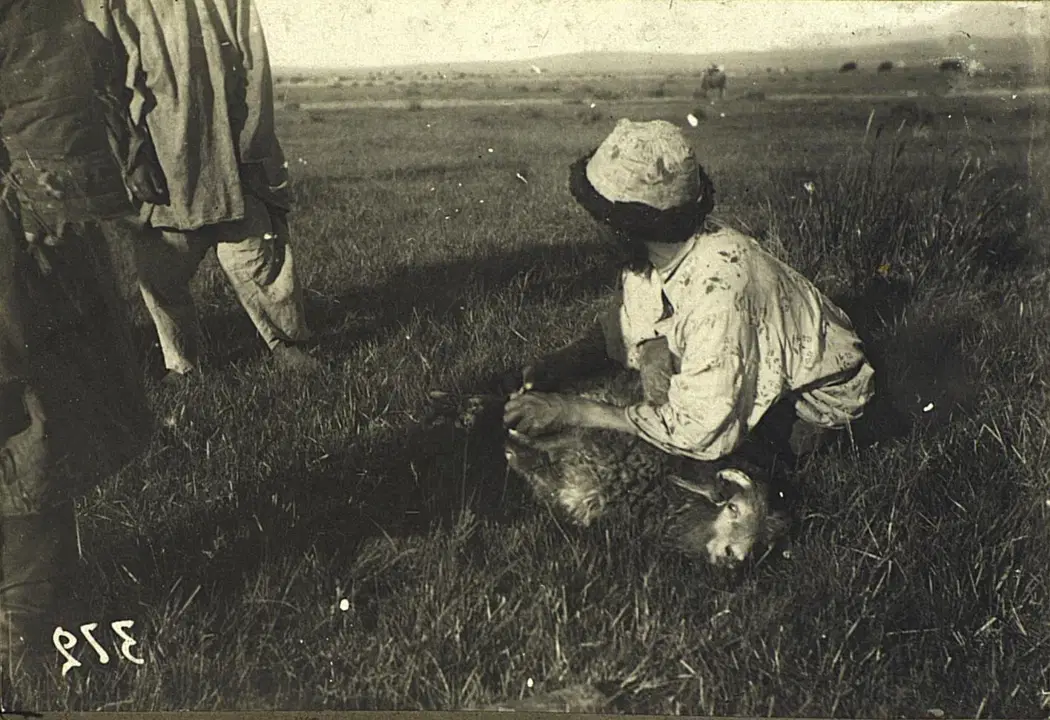 Vukuda ayol bilan anal jinsiy aloqa videolari