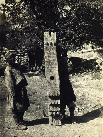 Katta klitorisli mushuk surati