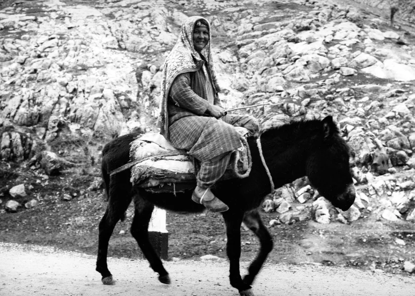 Rus tilida Dota 2 porno komikslar