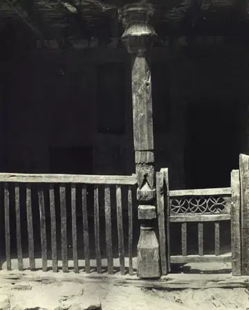 Buvi butun poda tomonidan sikiladi (seks video)