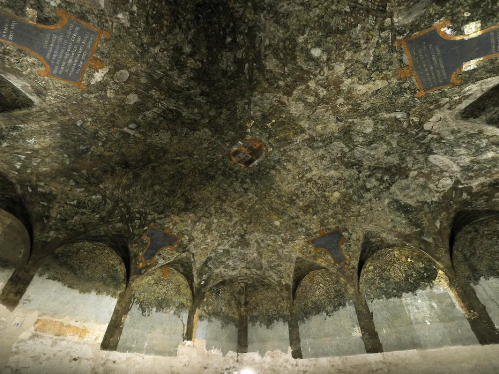 Leonardo da Vincinni kam asarlaridan biri asrlar o'tgach birinchi marta Milan Olimpiadasida tomoshabinlar tomonidan ko'riladi.