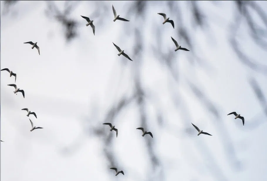 Доступное творчество: инклюзивные пространства Узбекистана