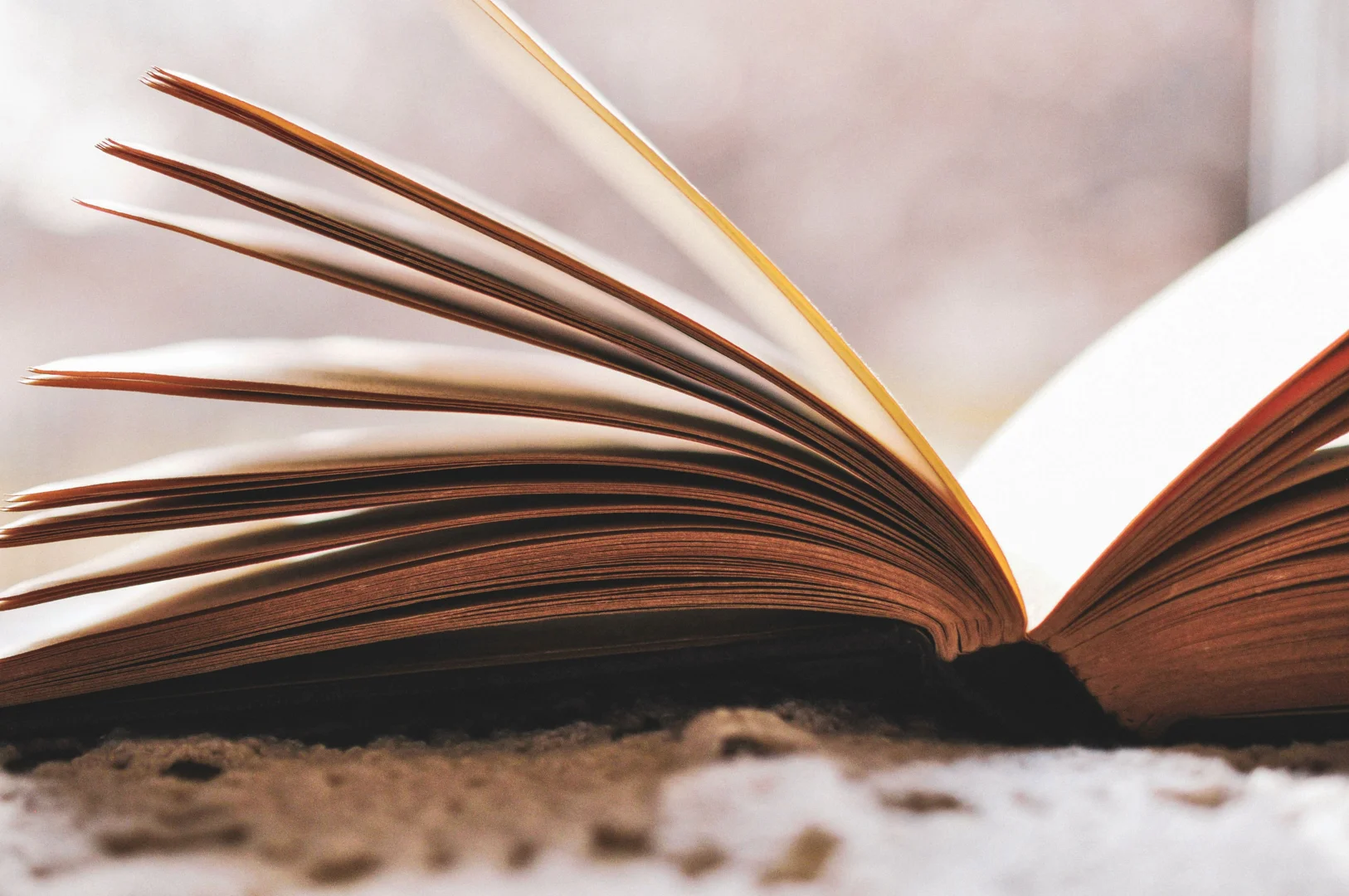 Ищи меня в клубе: гид по ташкентским книжным тусовкам