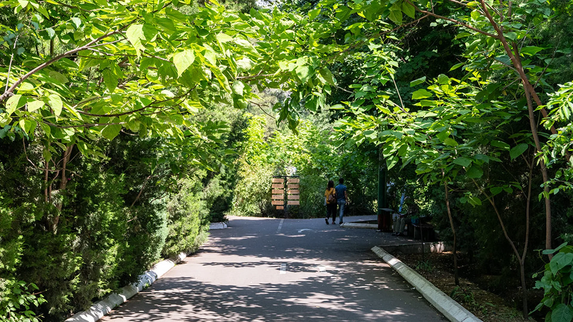 A rock concert will be held in the Botanical Garden under the open sky