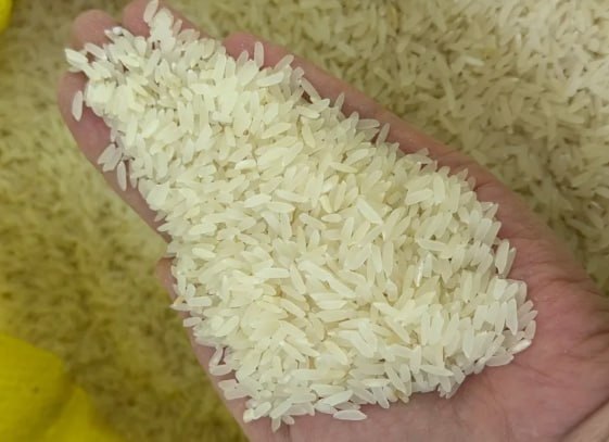 Khorezm Rice Receives Geographical Indication Status