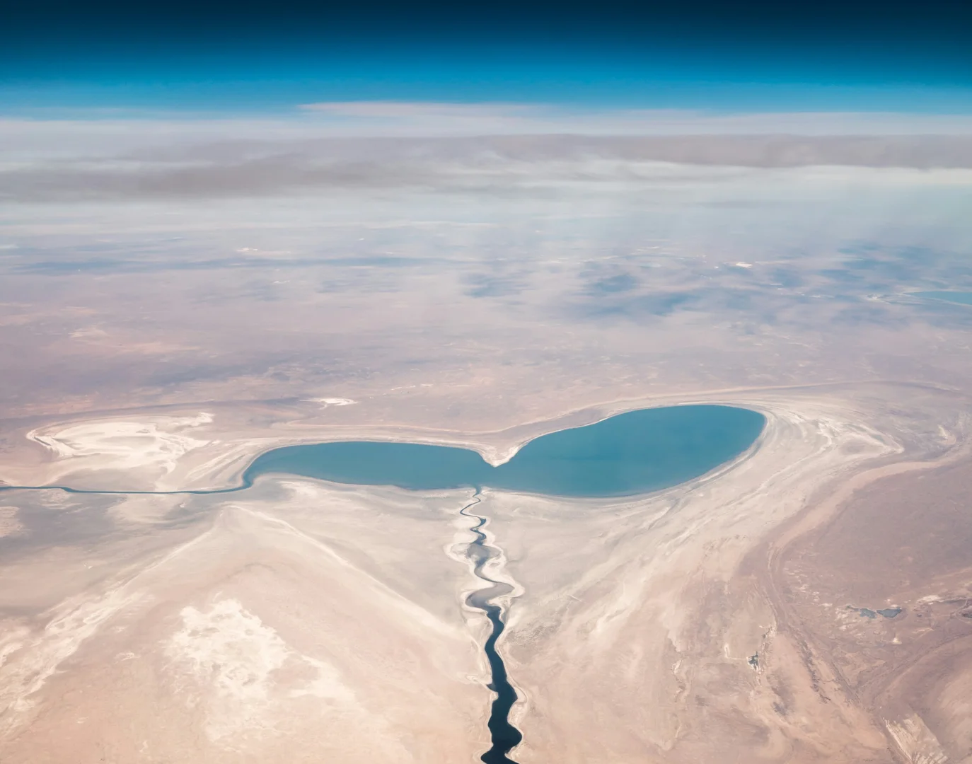 Как художники Центральной Азии говорят об экологии