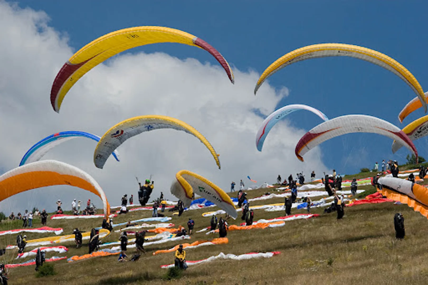 A paragliding festival will be held in the Samarkand region