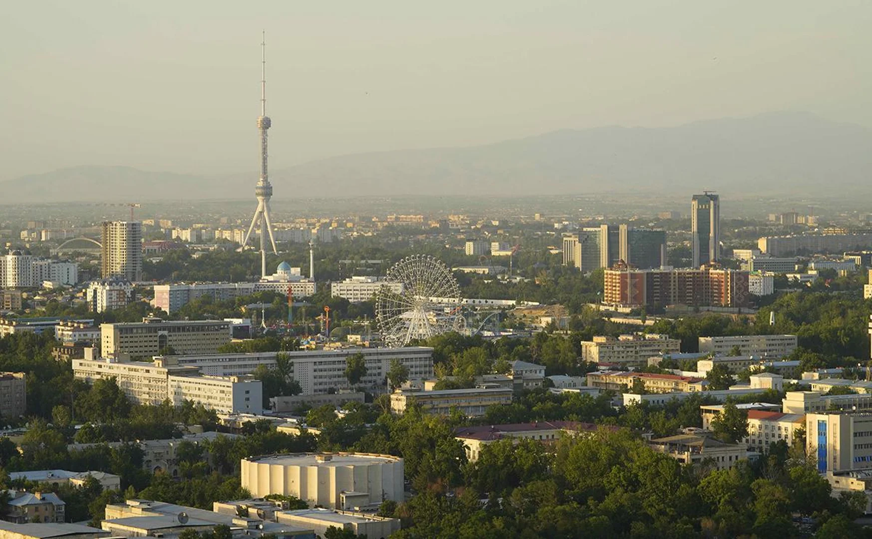 A technology laboratory will be created in Uzbekistan to implement AI in the cultural sphere