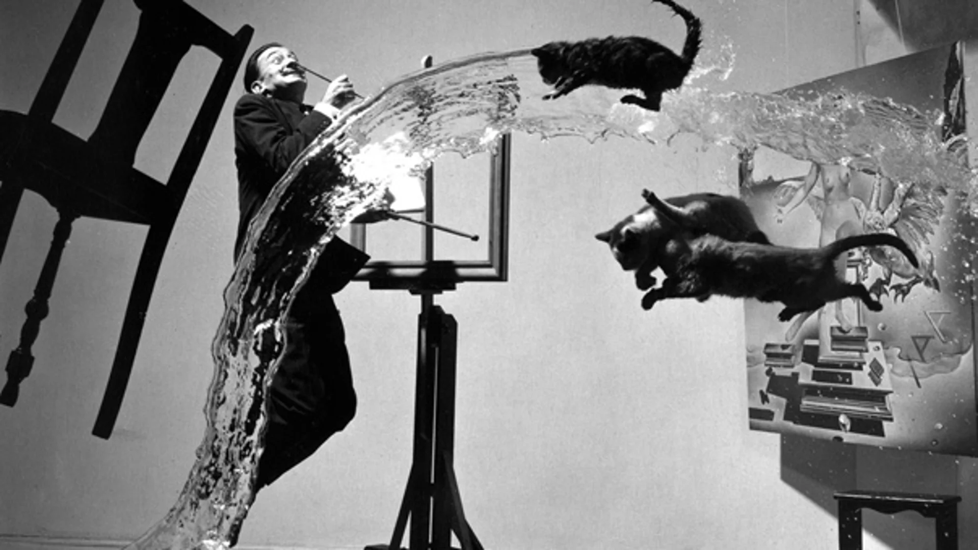 Photo of the day: Dali Atomicus