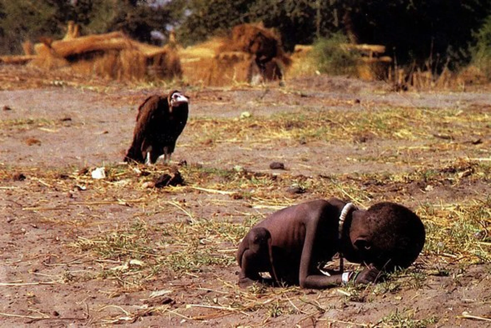 Photo of the Day: Vulture and Child
