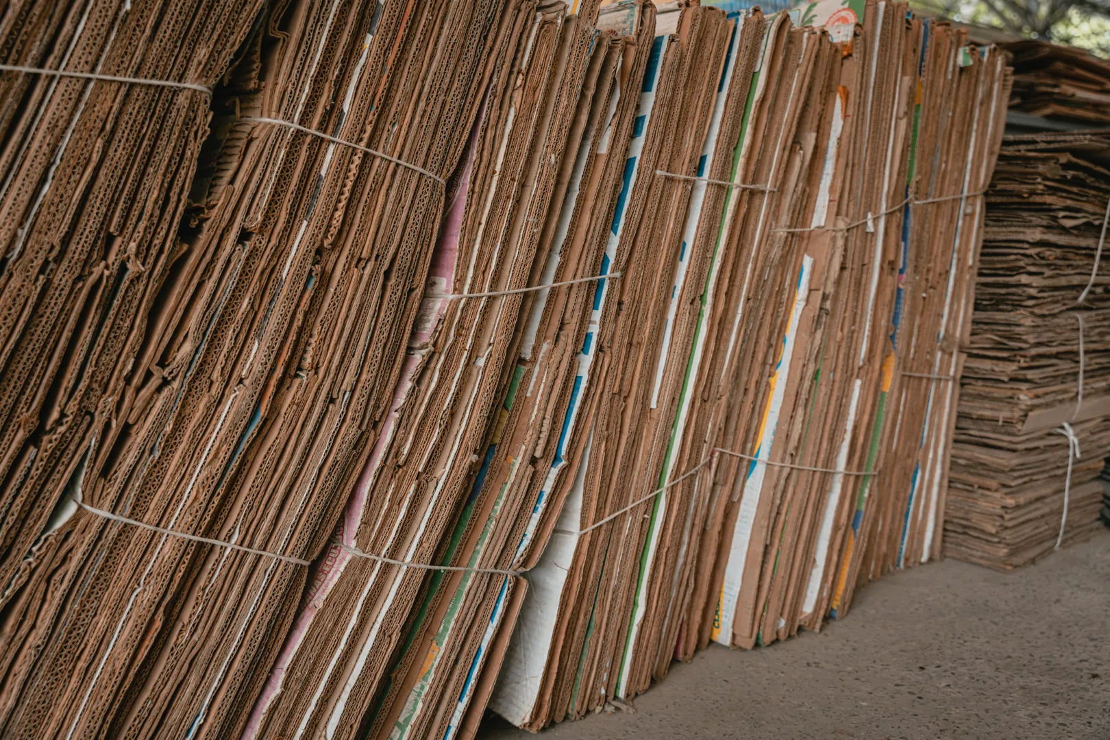 Ulan-Batordagi "Chingizxon" Milliy muzeyida yangi ilmiy-ommabop nashr taqdim etildi