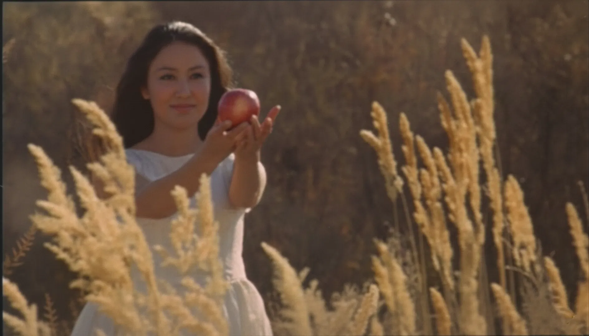 Новогодняя подборка фильмов из Центральной Азии