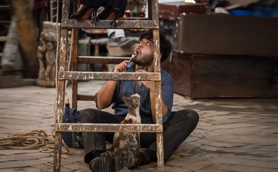 «Boshqa hayvonlar» teatri yangi boshpana qidirmoqda