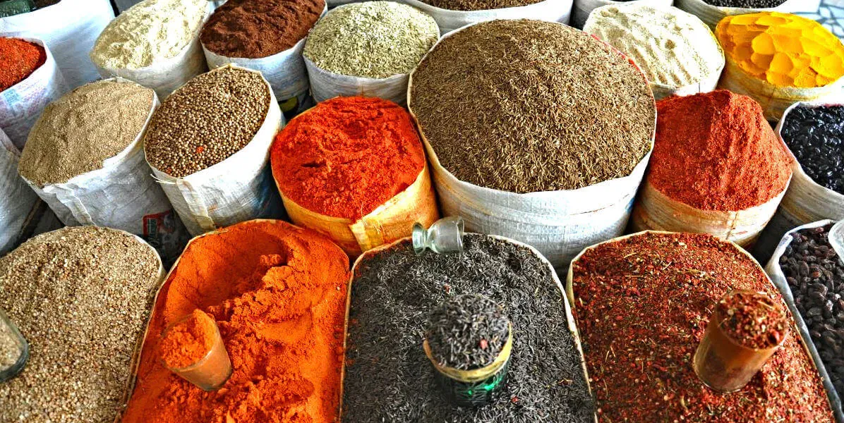 Bukhara and Kyrgyzstan Prepare for Summer Festivals: 'Silk and Spices' and 'Kymyz'