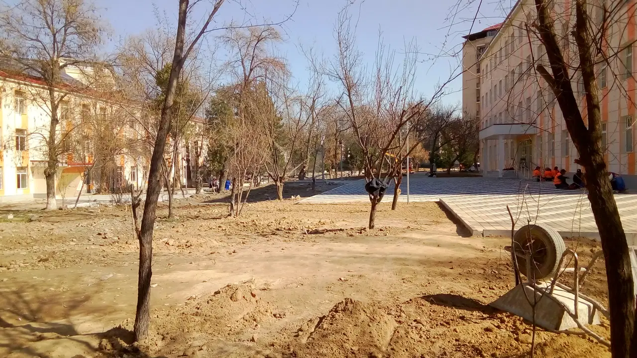 Eski yong'oq bog'i joyida